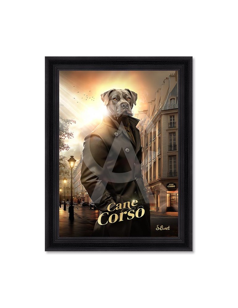 Cane Corso – Sylvain Binet