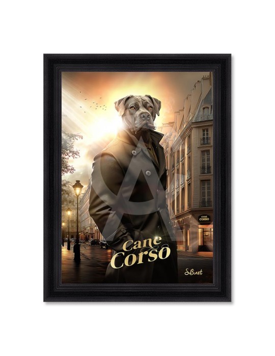 Cane Corso – Sylvain Binet