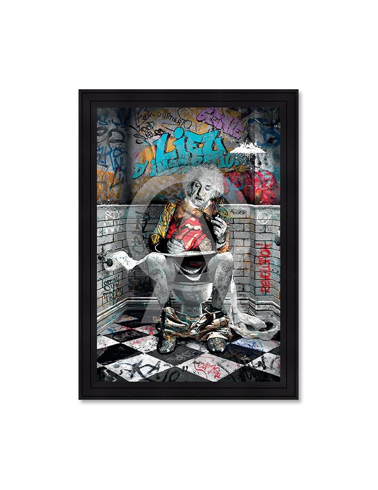 Albert Einstein WC – Romaric
