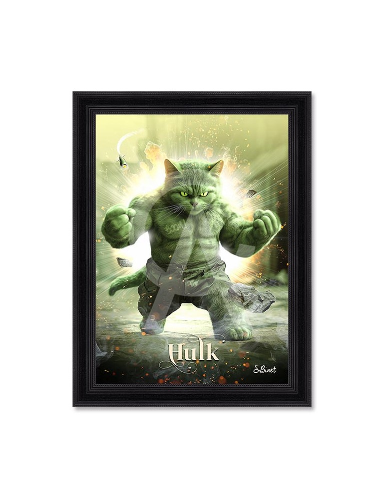 Chat Hulk – Sylvain Binet