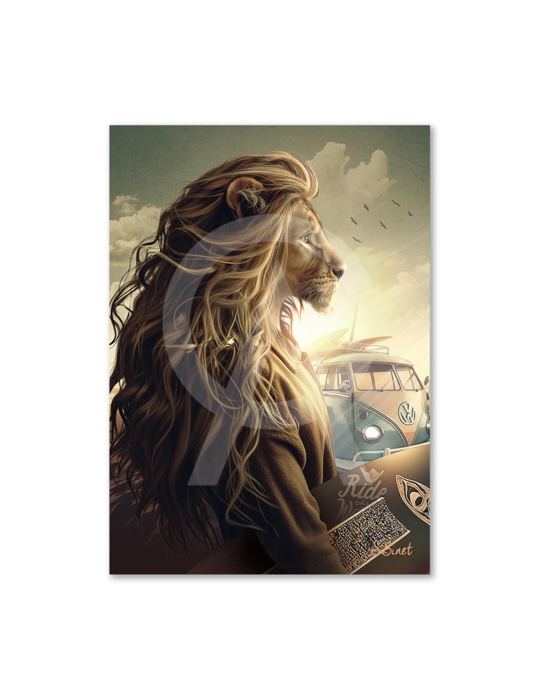 Lion Surf