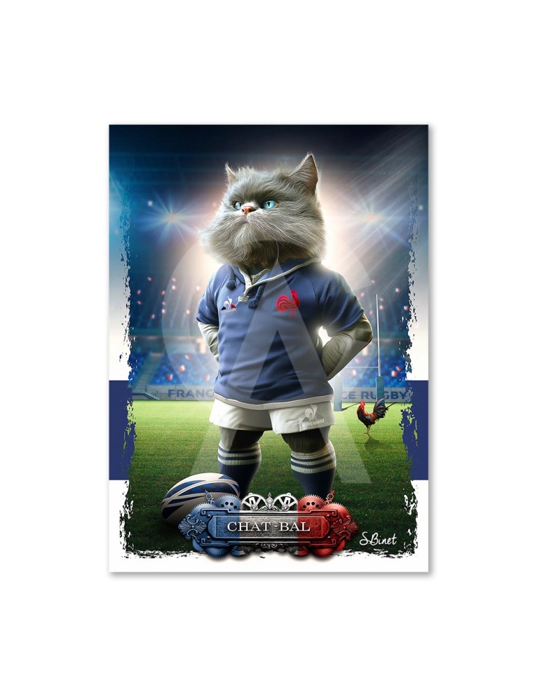 Chat-bal