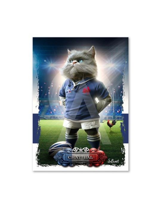 Chat-bal
