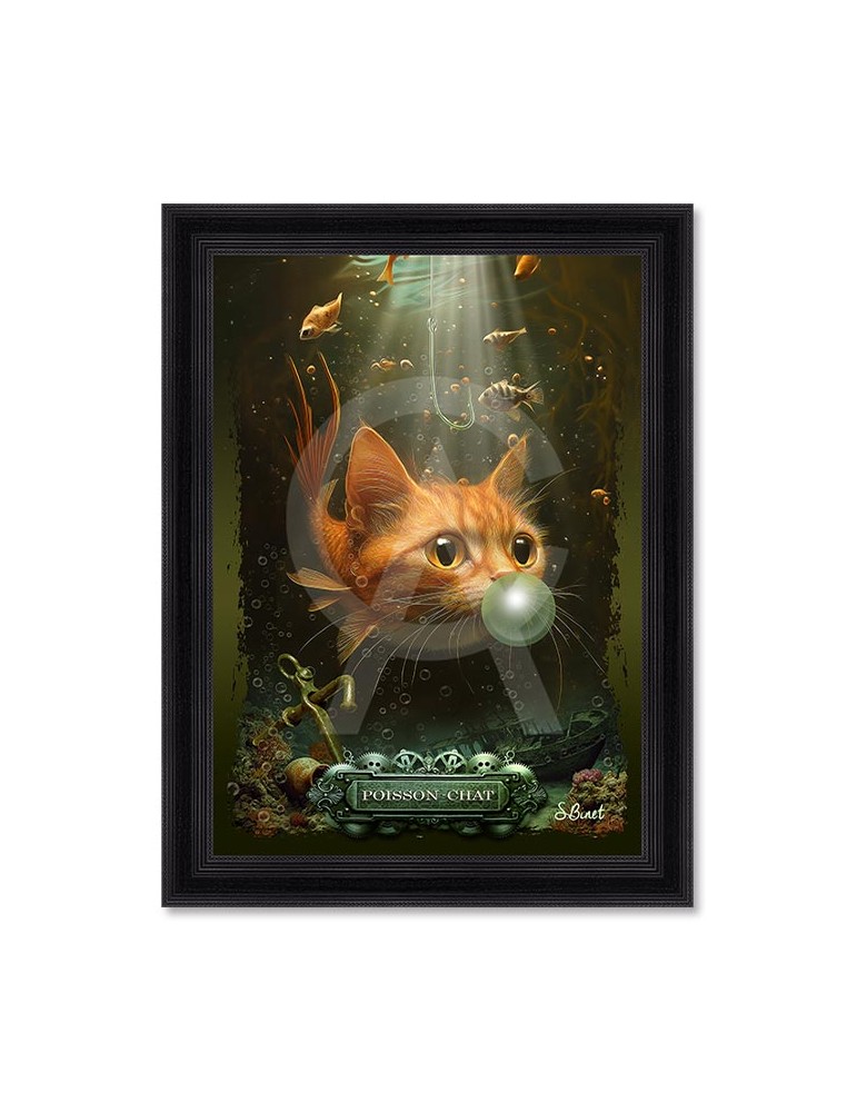 Poisson-Chat – Sylvain Binet