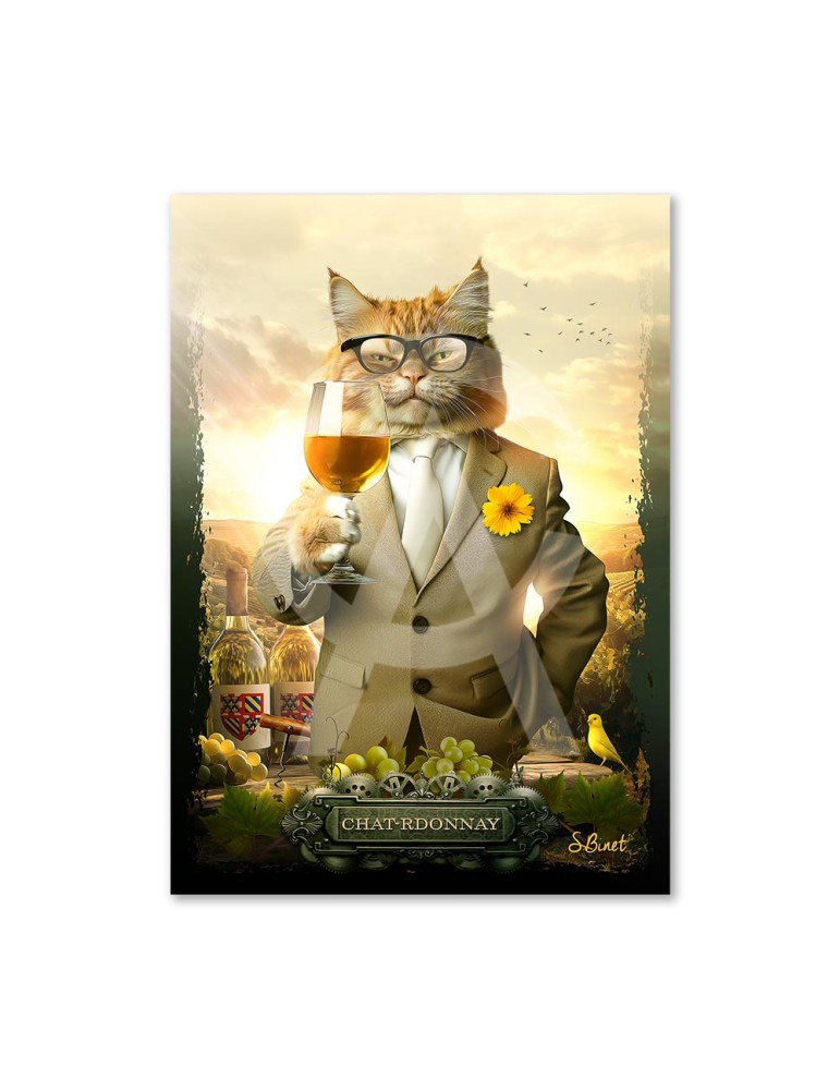Chat-Rdonnay